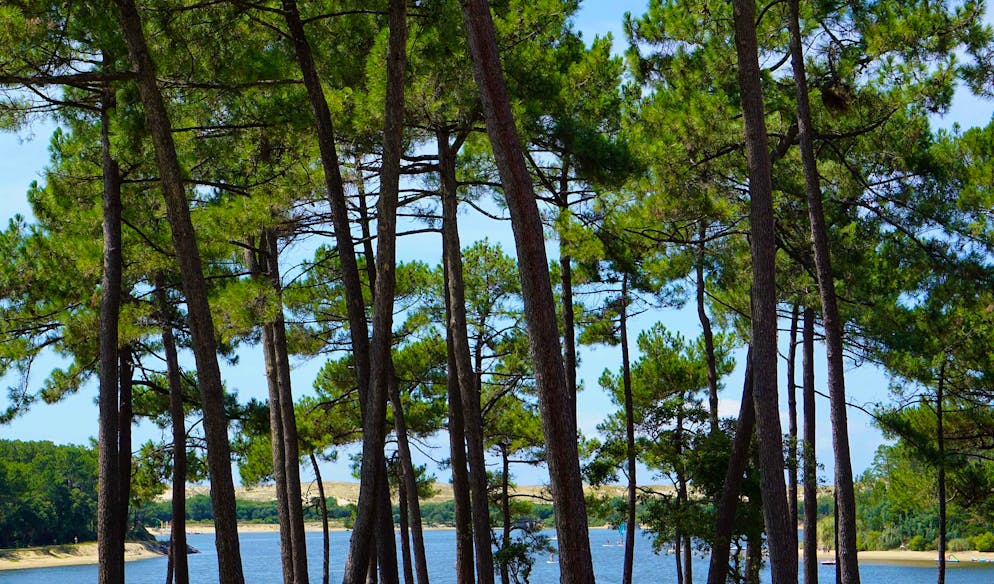 L'usine landaise compte produire 21 millions de tonnes de bioéthanol d'ici trois ans pour approvisionner le marché régional en carburant E5, E10 et E85.