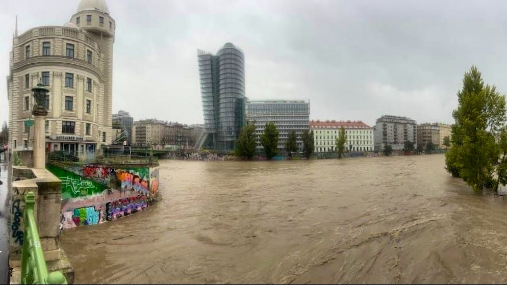 Viennese report from the flood zone. 