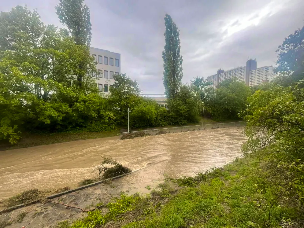 Floods in Vienna. But in a very short time, the stream filled up so much that it is now two and a half to three meters deep.