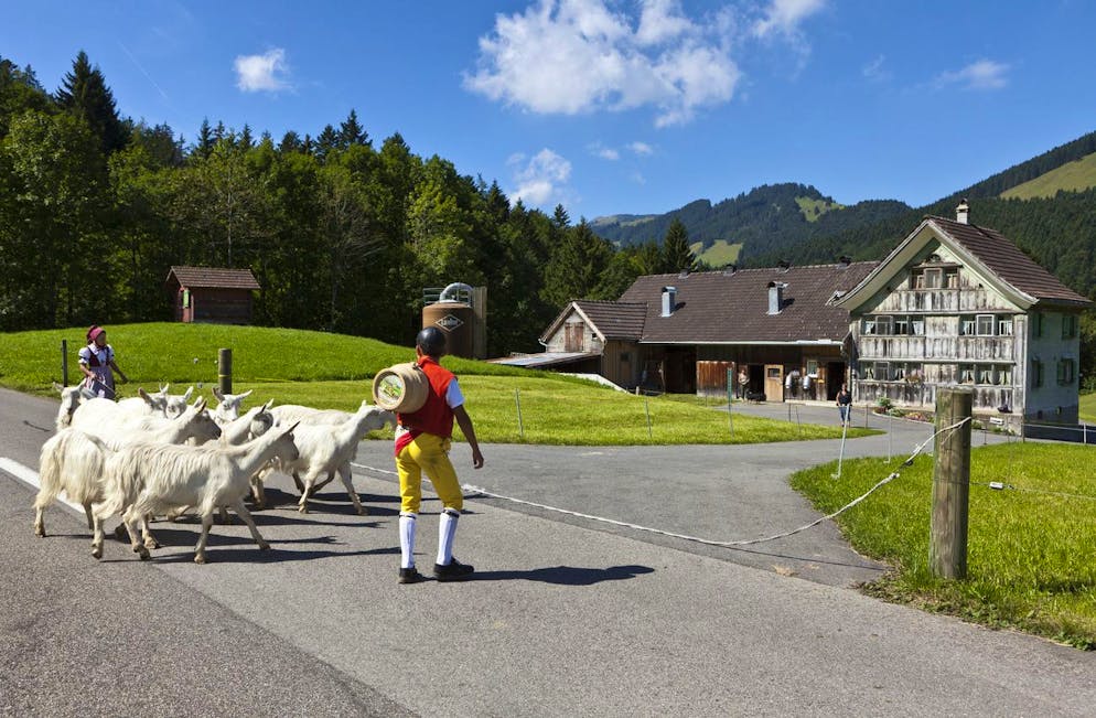 Dans le dicton de la Saint-Lambert, fêtée tous les 17 septembre, on comprend qu'à cette date, il est très difficile de trouver du travail en tant que domestique dans une ferme. (photo d'illustration réalisée à Appenzell)