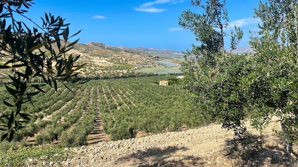 Reisebericht Südsizilien: Agriturismo Mandranova. Die Farm der Azienda Agricola Mandranova umfasst rund 200 Hektar.