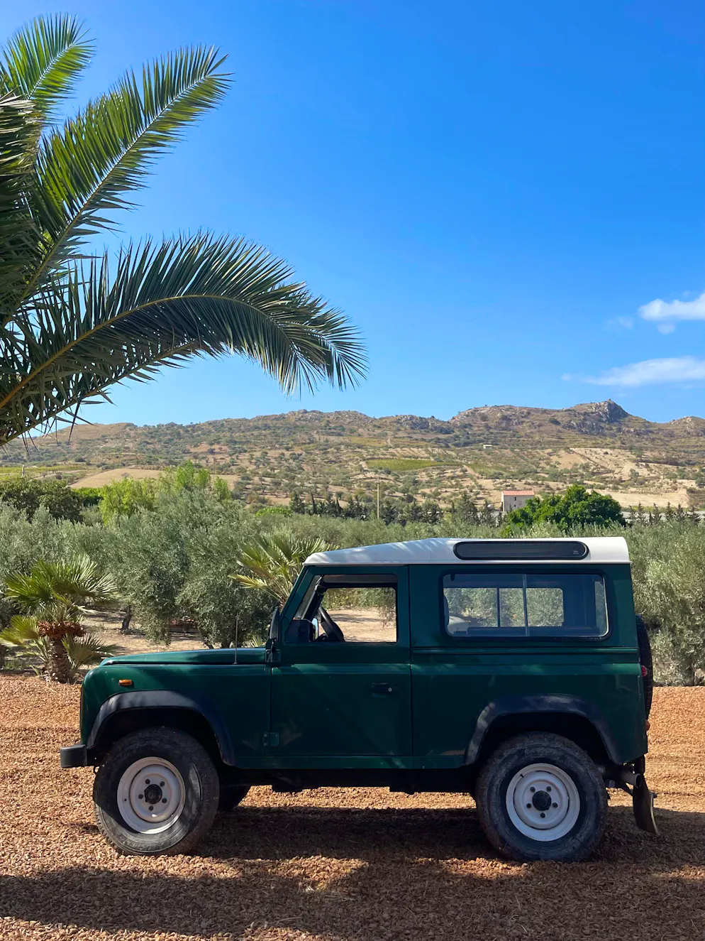 Reisebericht Südsizilien: Agriturismo Mandranova. Auf einer Jeeptour eröffnet sich die Grösse der Farm. 