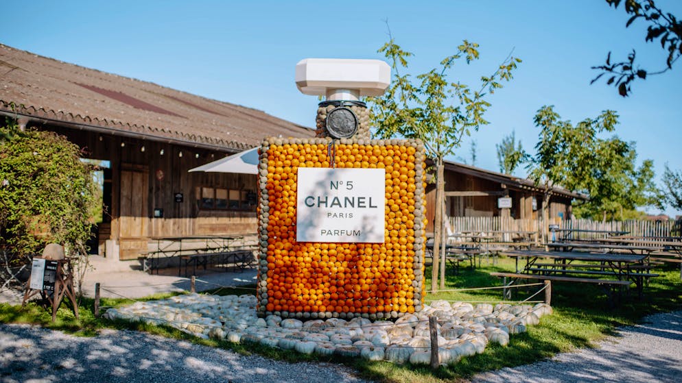 Jucker Farm kostet neu Eintritt. «Es gibt immer Kritik, wenn man etwas Neues einführt»