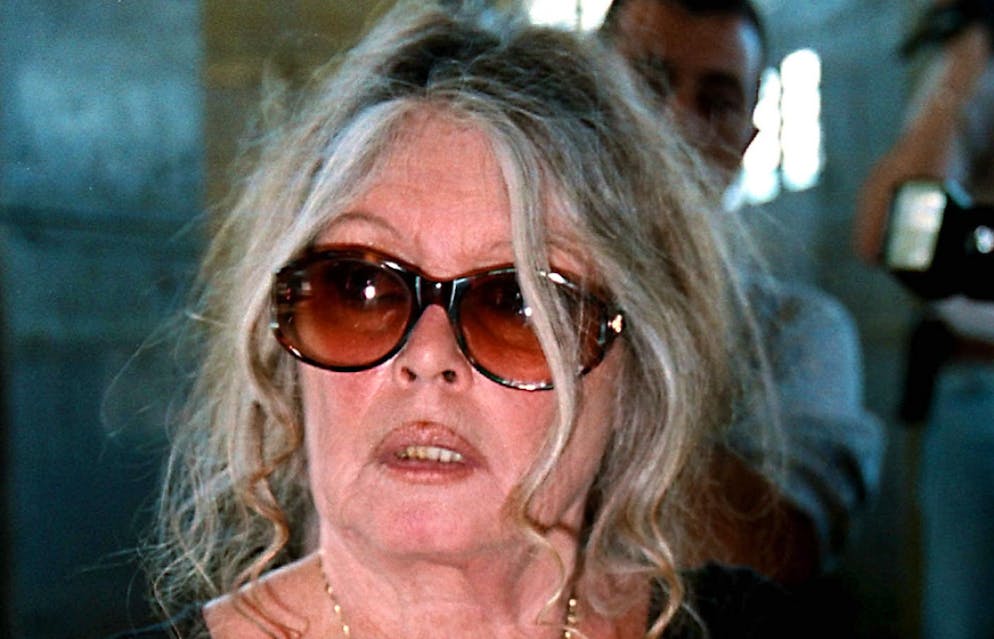 Véritable icône du cinéma françaus, Brigitte Bardot est aujourd'hui âgée de 91 ans.