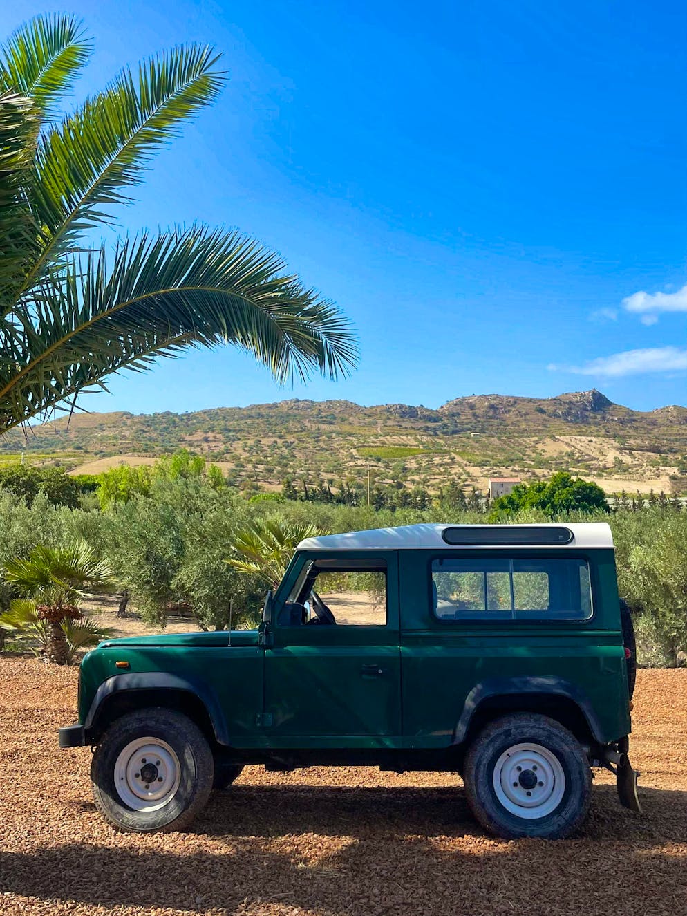 Travelogue Southern Sicily: Agriturismo Mandranova. A jeep tour reveals the size of the farm.