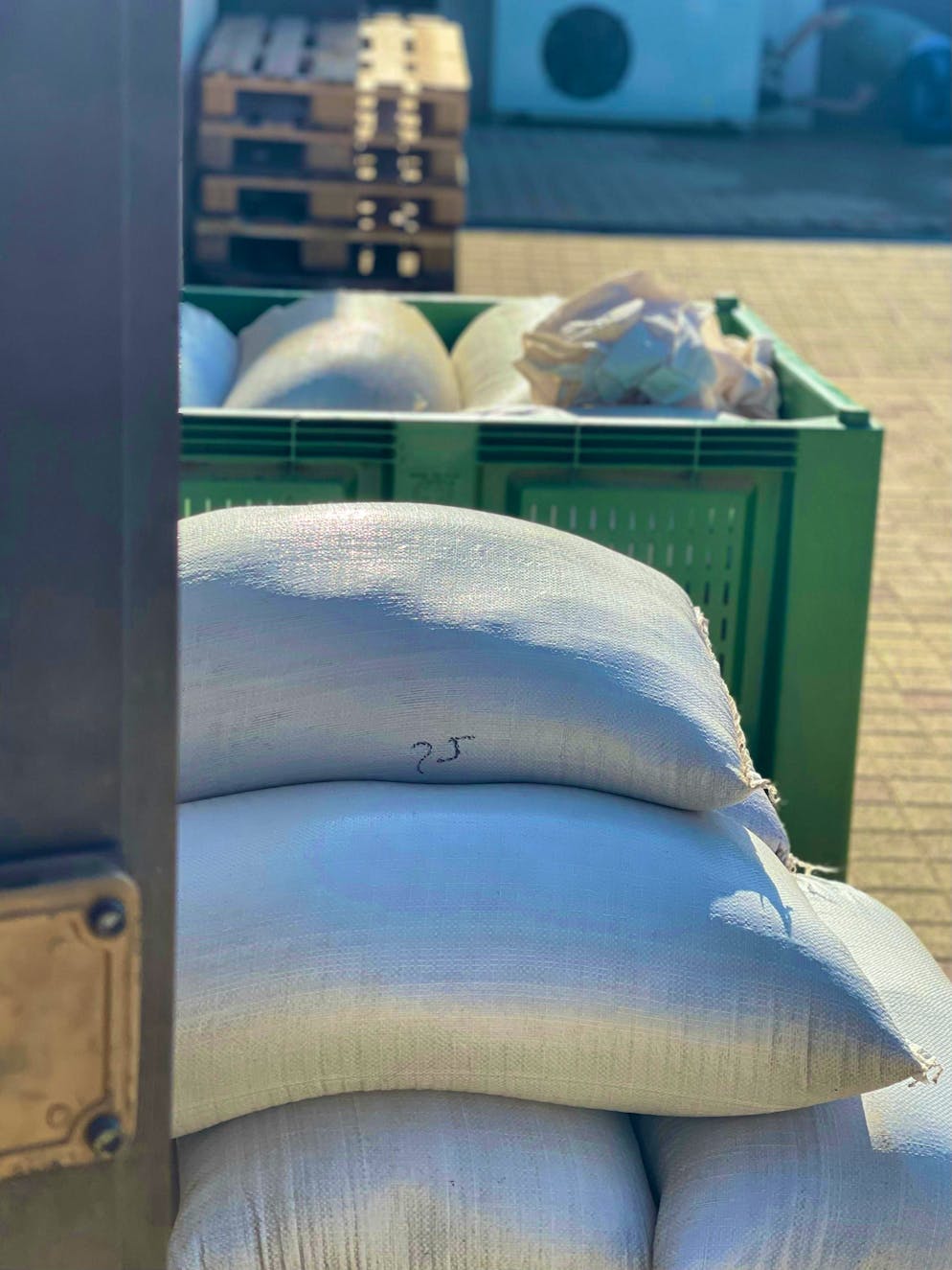 Travelogue Southern Sicily: Agriturismo Mandranova. Next up are the olives.