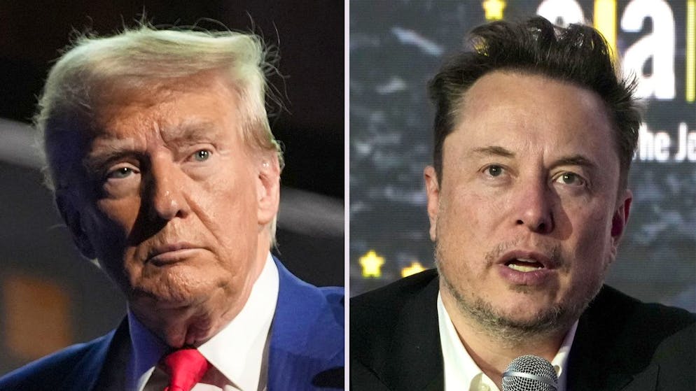 USA 2024. Musk dona una cifra record a Trump, ecco quanto
