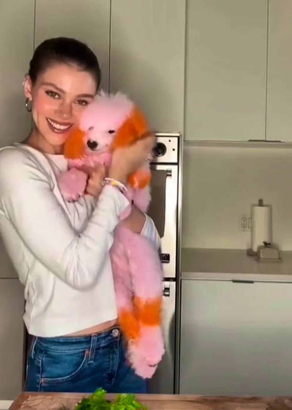 Nicola and Brooklyn Peltz Beckham dye their dogs pink. The video of Nicola Peltz Beckham is no longer available. In it, the actress cuddled up to her pink and orange dog, which looks like a soft toy.