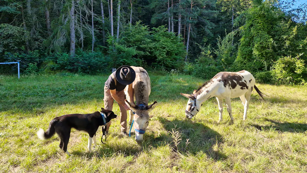 Boulanger du bonheur. La compagnie de ses ânes Pivoine et Ayacha, ainsi que de son chien Chaussette, est un véritable ressourcement pour le «faiseur de pains».