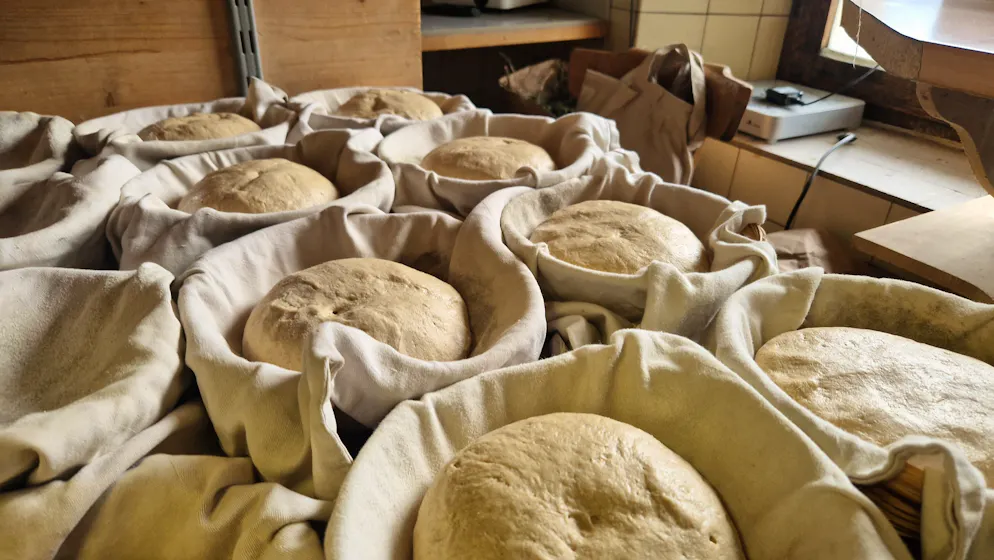 Boulanger du bonheur. Une fois façonnés, les pâtons confectionnés par Stéphane Marguet doivent reposer avant de passer au four. 