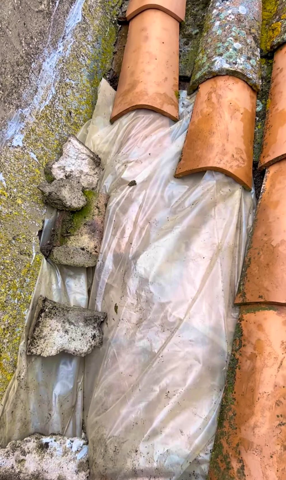 Briton buys one-euro house in Sicily