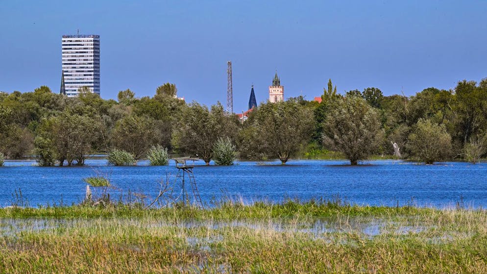 Das steigende Hochwasser des deutsch-polnischen Grenzflusses Oder hat bereits erste Wiesen am Stadtrand von Frankfurt (Oder) überflutet. (21. September 2024) 