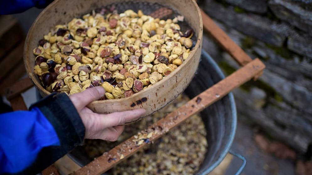 Il Festival della Castagna in Val Bregaglia quest'anno celebra la sua 20esima edizione.
