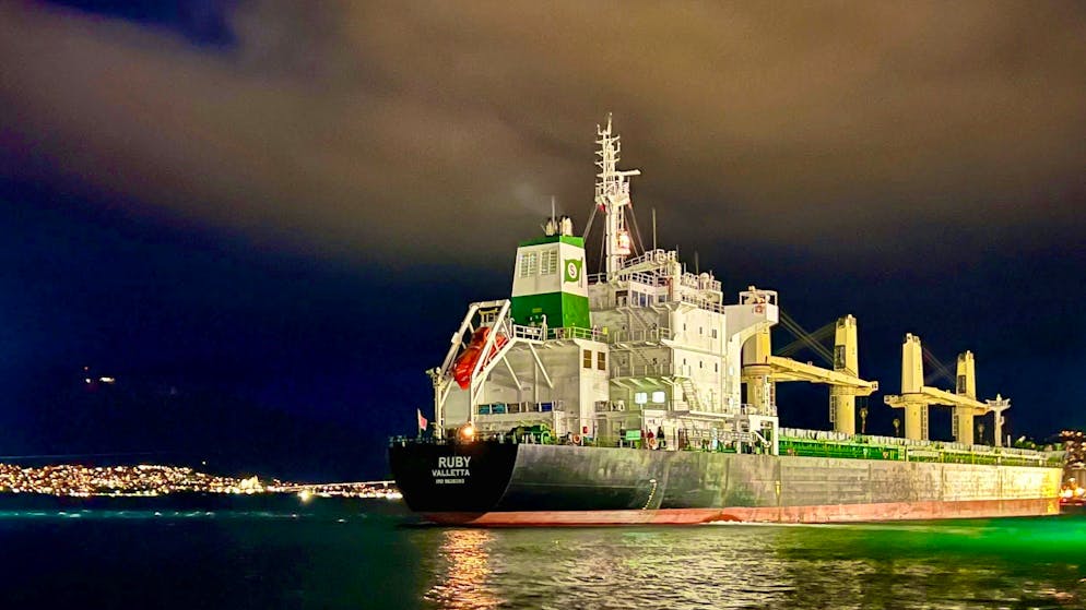 The "Ruby" was allowed to dock in England with an explosive cargo after weeks of wandering through the North Sea. (archive picture)