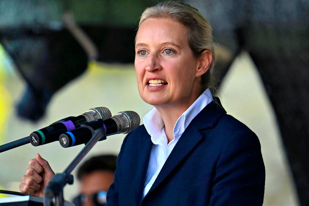 Alice Weidel to become AfD candidate for chancellor | blue News