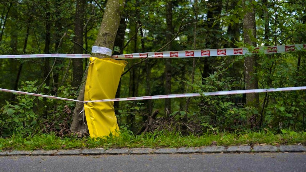 Molte domande senza risposta. Ecco cosa si sa e cosa non ancora sull'incidente mortale di Muriel Furrer