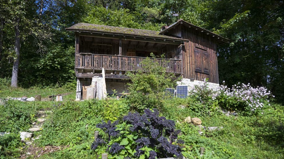 Ecco come è andata. Una testimone oculare racconta il primo utilizzo della capsula per il suicidio Sarco