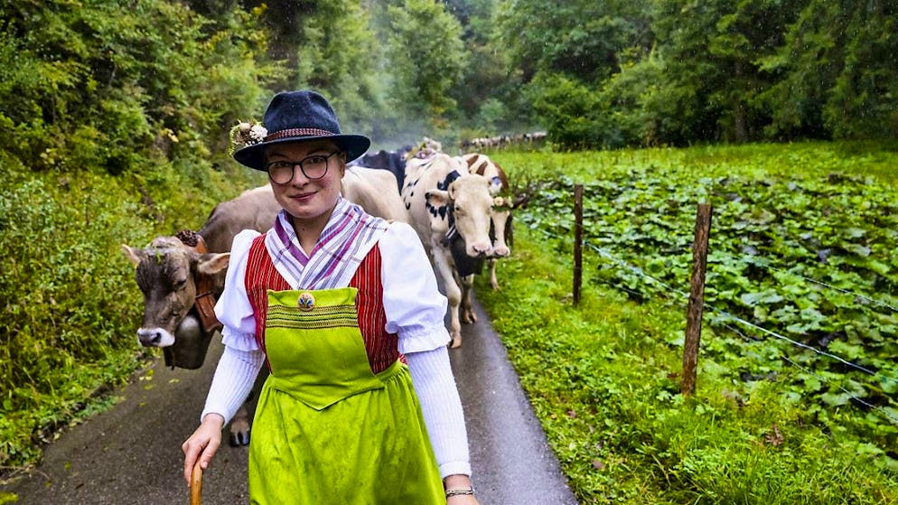 Thousands of people at the Alpine cattle drive from Charmey FR - Gallery. Members and friends of the family often help with the cattle drive.