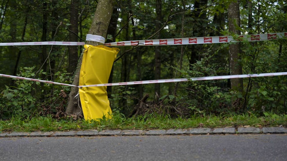 Many unanswered questions. This is what is known about Muriel Furrer's fatal accident - and what is not