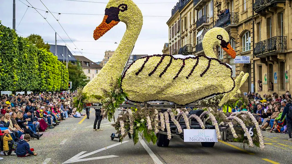 Many visitors at the Neuchâtel grape harvest festival despite cloudy weather - Gallery. The flower parade, one of the last in Europe and one of the largest in the world, was the longest in the last 20 years at 2.2 kilometers.