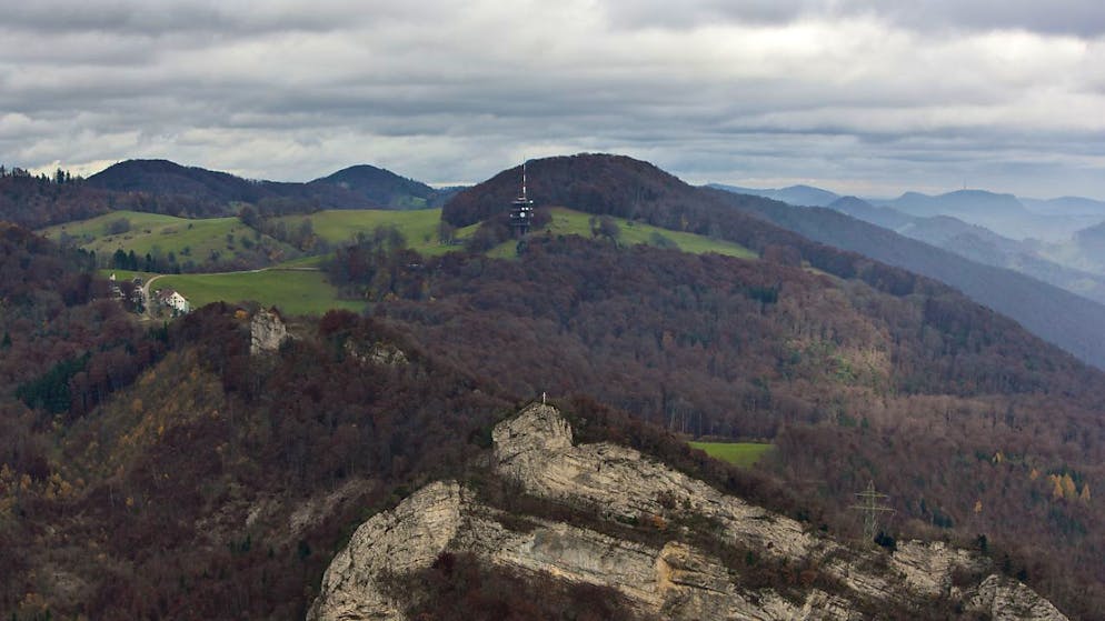 Rund 40 Prozent des Kantonsgebiets von Solothurn sind von Wald bedeckt. Das Bild zeigt die Geissflue bei der Froburg in der Nähe von Olten SO. (Archivbild)