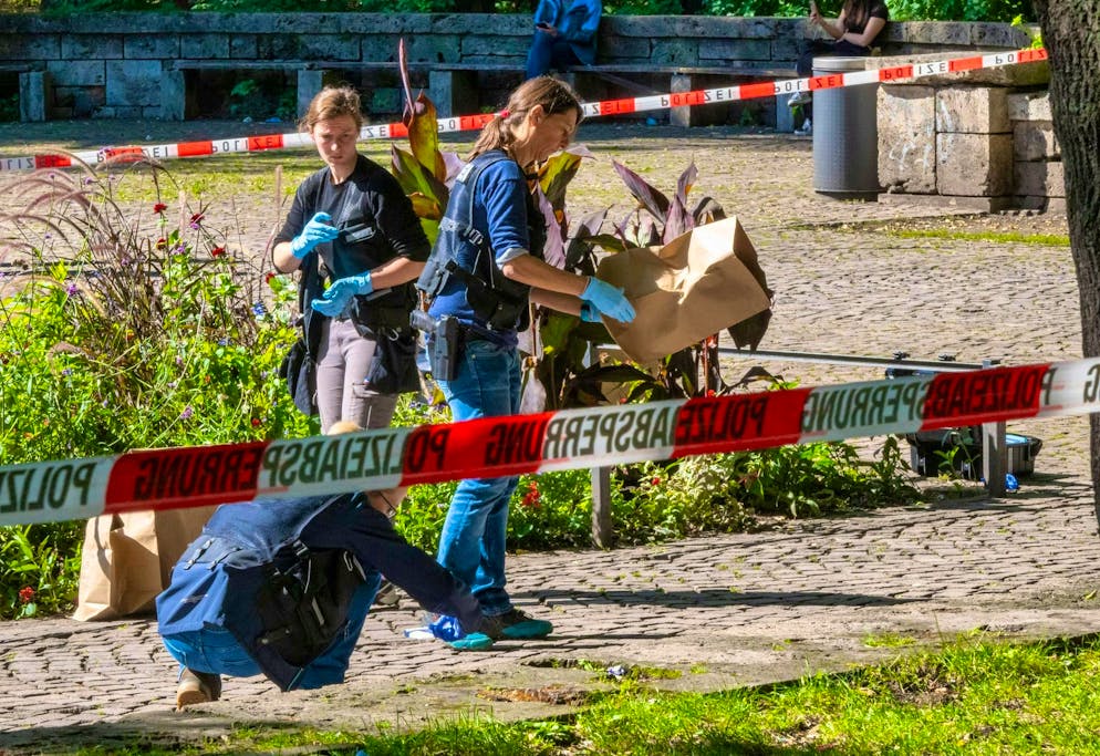 The main suspect after the killing of a man in the Old Botanical Garden has been arrested.