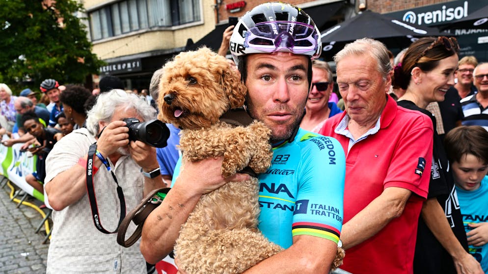 Mark Cavendish a été fait chevalier mercredi.
