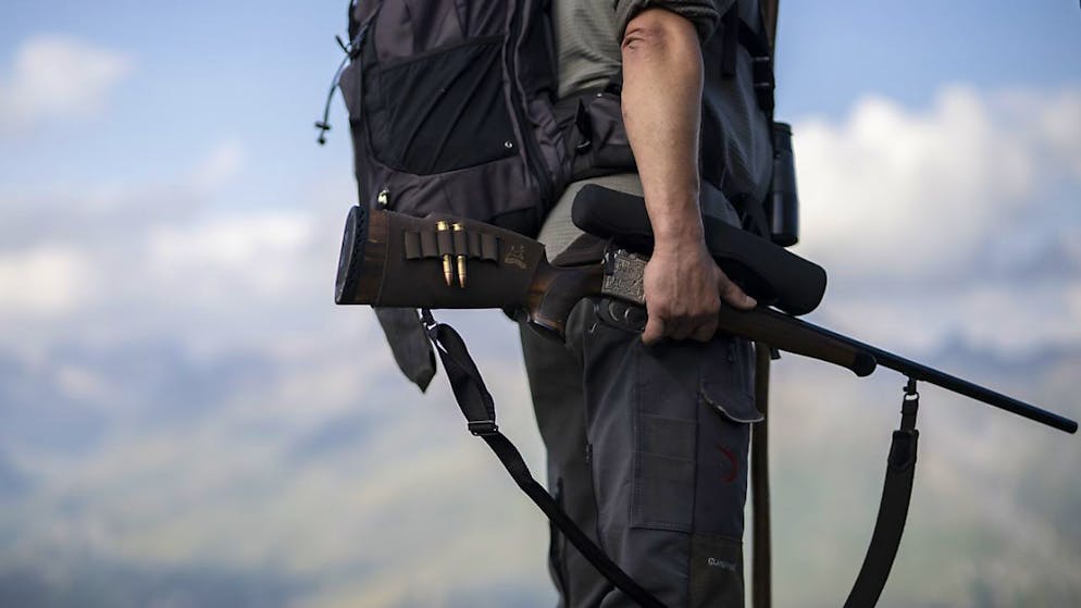 Geldbusse erhalten. Jäger vergisst Flinte am Auto – Strafbefehl