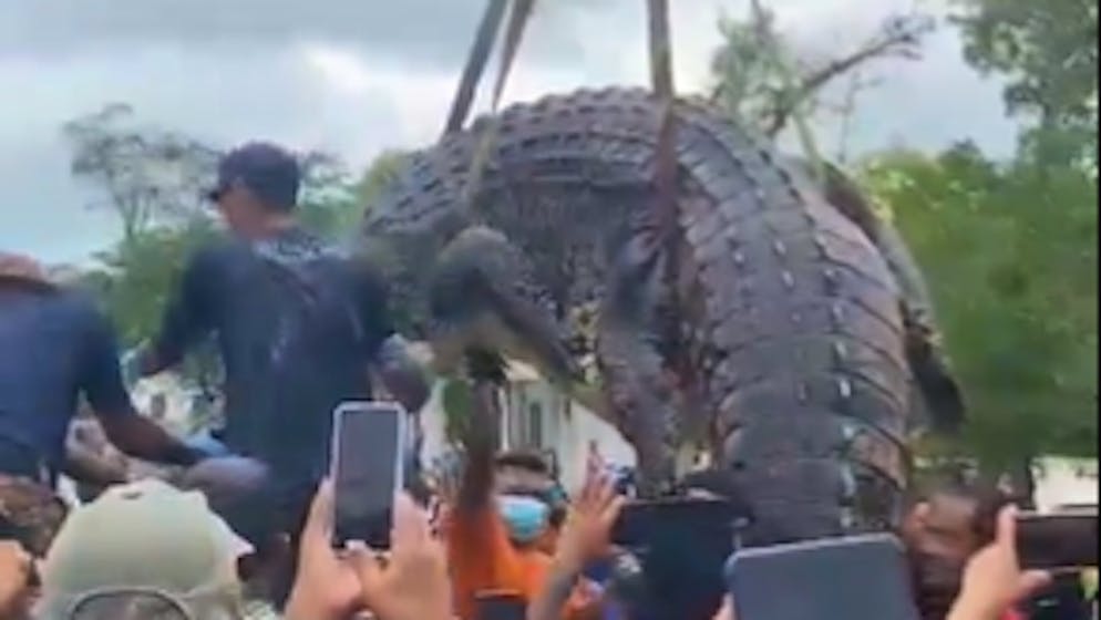 Menschliche Knochen im Magen. Gigantisches Krokodil tötet Mädchen (6)