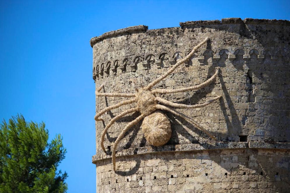 Keine Angst, das ist nur eine Attrappe, so gross werden Taranteln dann doch nicht. 