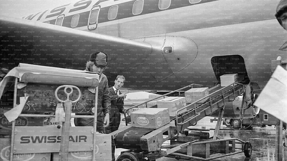 Il y a 50 ans, plus d'un million d'hirondelles prenaient l'avion - Gallery. Les hirondelles ont été embarquées dans des boîtes en carton aménagées (Archives).