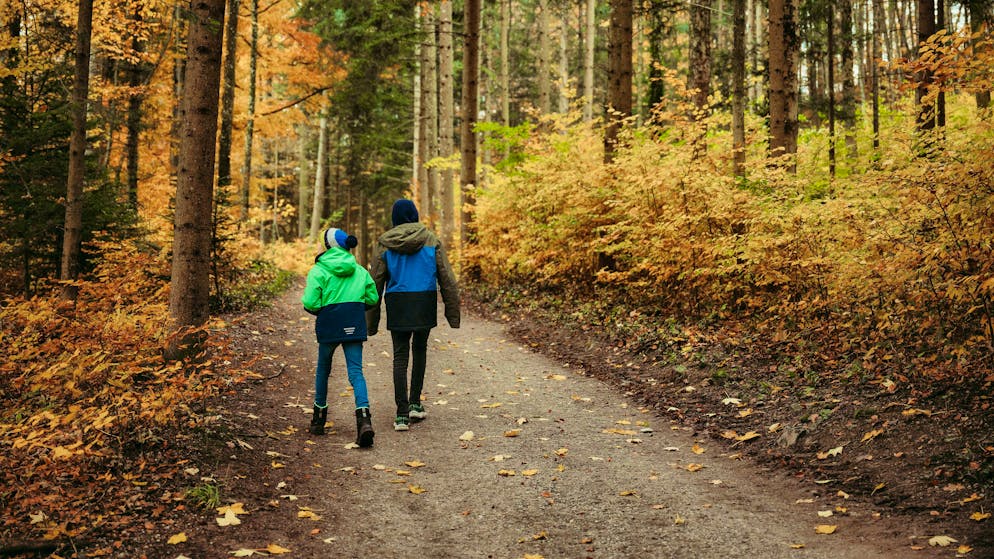 Autunno. Ecco 11 escursioni per giornate di pioggia e sole in Svizzera