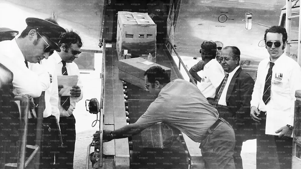 Il y a 50 ans, plus d'un million d'hirondelles prenaient l'avion - Gallery. Les hirondelles ont été embarquées en tant que "bagages supplémentaires" (Archives).