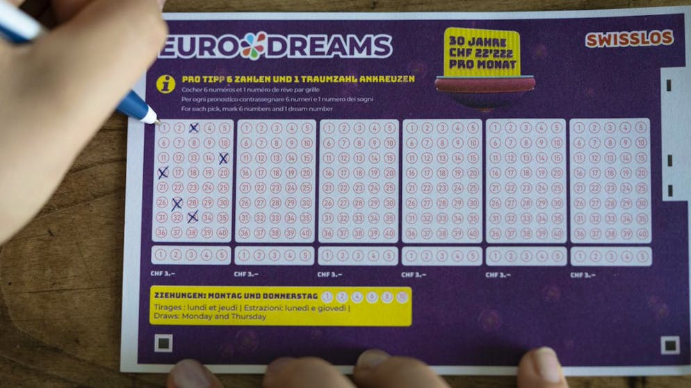 Der Hauptgewinn im Eurodreams-Spiel entfiel auf jemanden aus Frankreich. (Symbolbild)