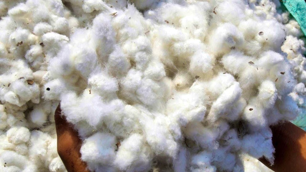 Agriculture EU approves further engineered varieties of