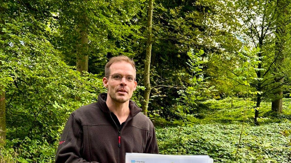 Burgergemeinde Bern will Wälder klimafitter machen - Gallery. Waldeigentümer könnten den Klimawandel nicht stoppen, aber Weichen stellen, damit der Wald seine wichtigen Funktionen auch für künftige Generationen erfüllen kann. Davon ist Philipp Egloff, Co-Leiter Forstbetrieb der Burgergemeinde Bern, überzeugt.