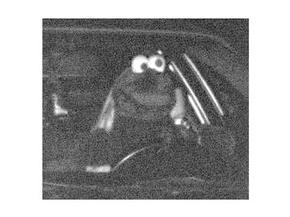 Funny speed camera photo: a driver was speeding in a costume like from the Muppet show.
