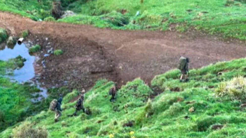 Disappeared without a trace. Missing family discovered in forest after three years