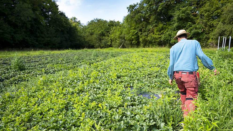 L'agriculture exprime son ras-le-bol mercredi face à des mesures d'économie jugées injustes (image prétexte/archives).
