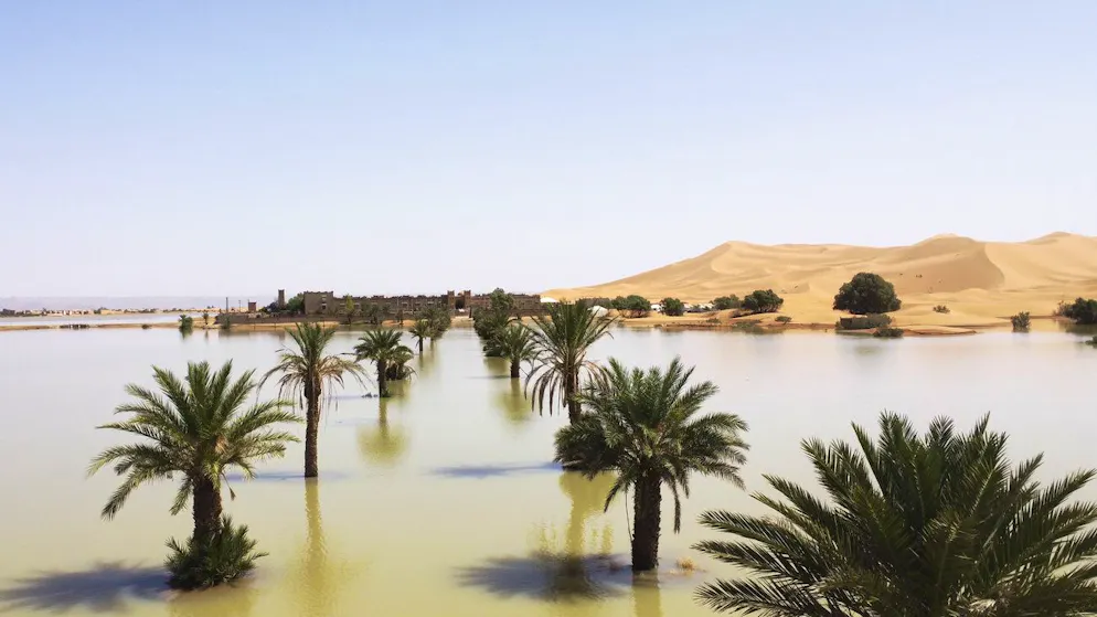 Des lacs dans le désert!. De fortes pluies transfigurent le Sahara