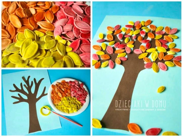 Instead of throwing them in the bin 5 things you can do with pumpkin