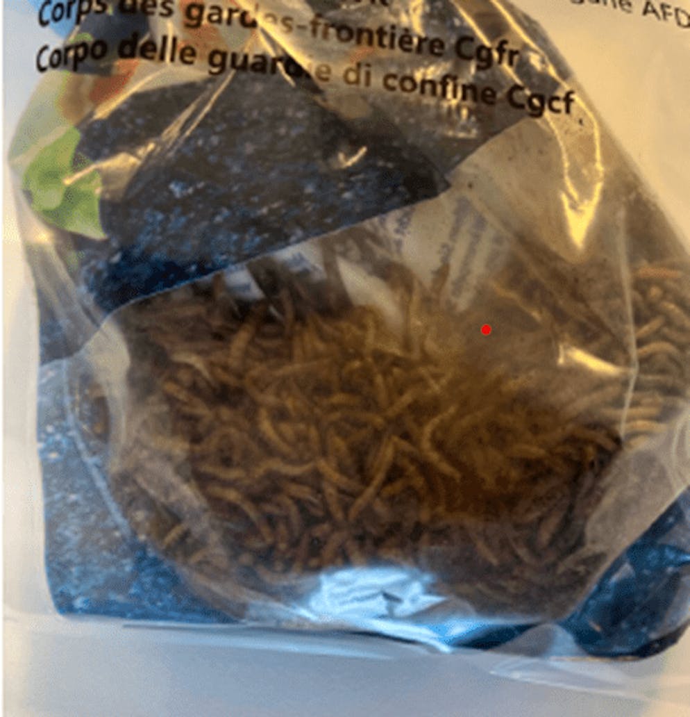 Die Würmer sind wohl Teil der Masche, mit der die Verdächtigen Hausbesitzende dazu bringen, ihnen Handwerksaufträge zu erteilen.