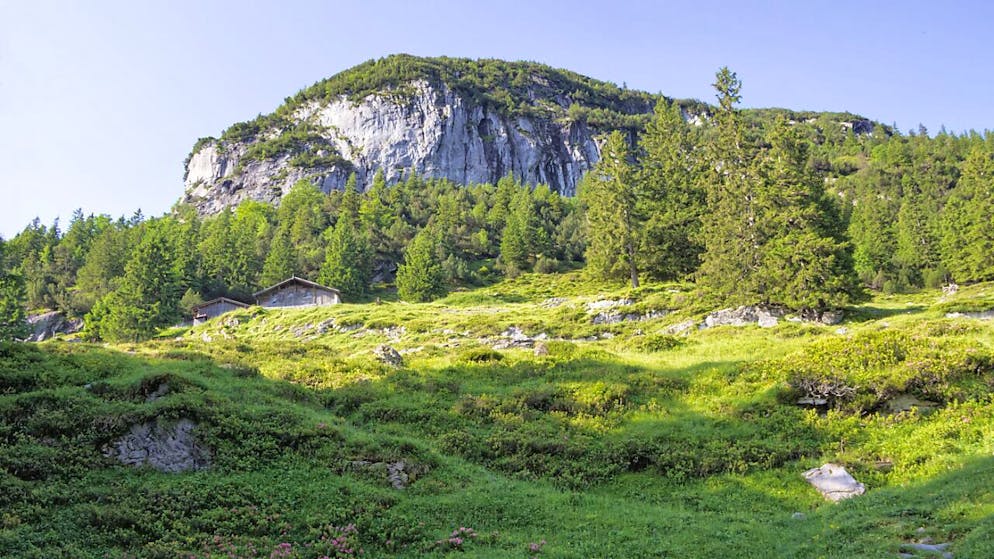 Vier Kulturlandschaften im östlichen Oberland ausgezeichnet - Gallery. Die nur zu Fuss erreichbare Burgalp Liegt abseits der Grossen Touristenströme.