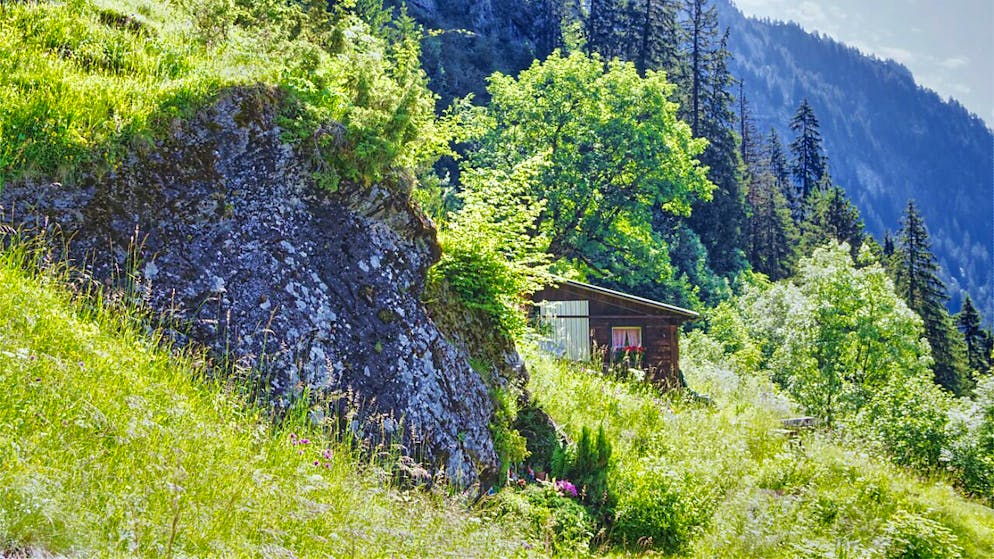 Vier Kulturlandschaften im östlichen Oberland ausgezeichnet - Gallery. In der steilen Südflanke der Faulhornkette Liegt die Mähwiese "Wurf". Sie zu bewirtschaften ist aufwändig, immer wieder muss auch Geröll weggeräumt werden.