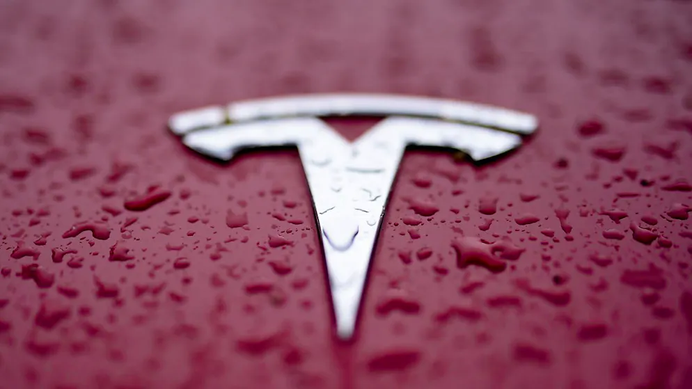 Tesla, crollo in borsa.