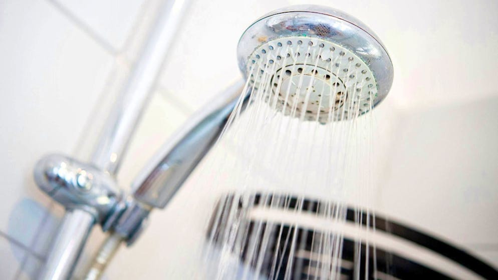 Studio: gli spazzolini da denti sono un paradiso per i virus. La diversità dei microbi nel bagno non è un motivo per ricorrere a prodotti di pulizia antimicrobici. (Immagine d'archivio)