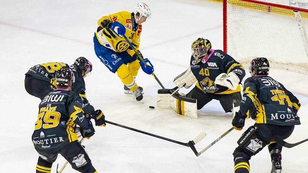 Ken Jäger slays the Langnau Tiger - Gallery. Despite being outnumbered, Ajoie lost to HC Davos for the ninth time in the tenth game of the season.