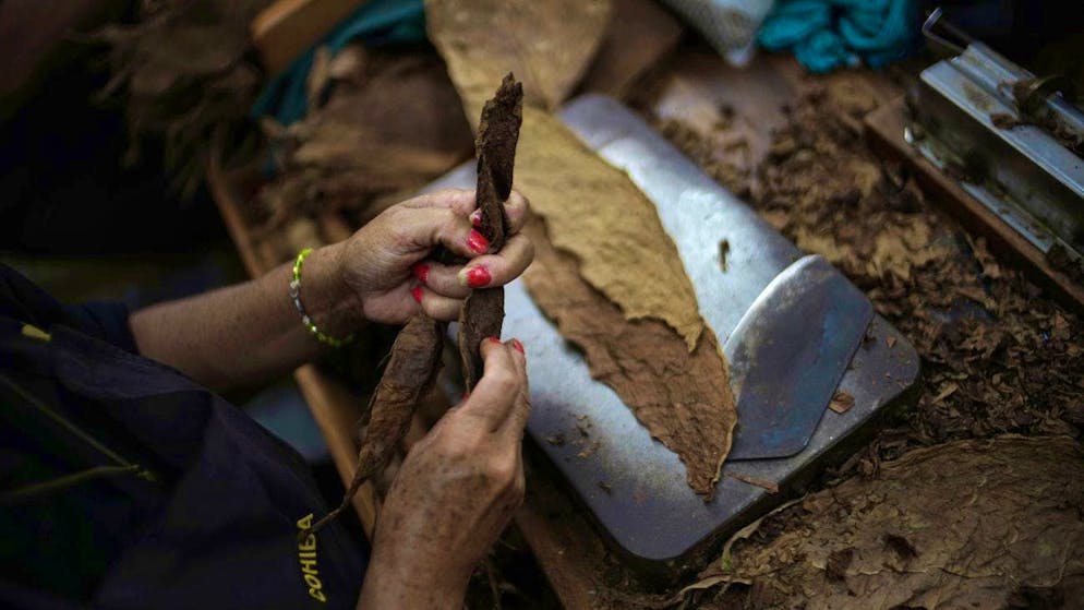 A woman rolls a Cohiba cigar in Havana, Cuba.