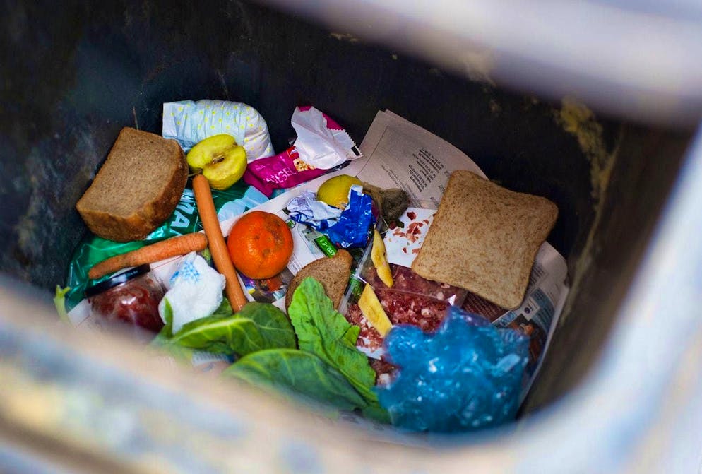 A lot of food ends up in the bin every year.