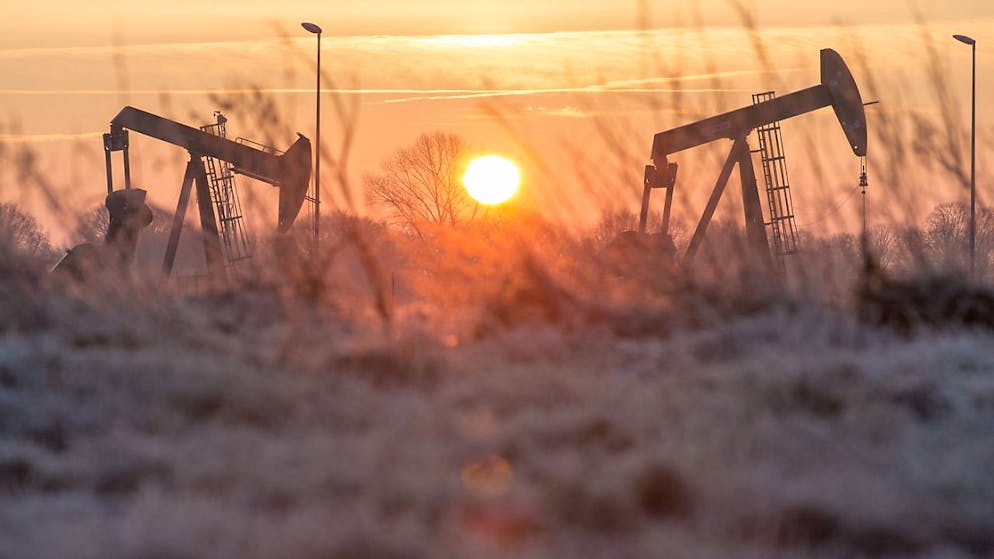 Pumpen für Erdöl: Der globale Bedarf an Rohöl wird aus Sicht von Opec 2024 und 2025 langsamer wachsen als bisher angenommen. (Archivbild)